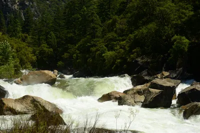 DSC_2258 (Large).JPG